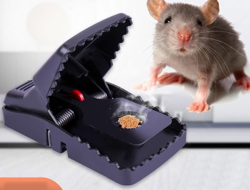 Heavy Duty Mouse Trap 🐭⚡ | Reusable Washable Easy & Effective Mice Catcher 💪